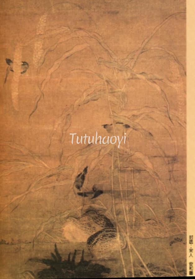 安和图 quail pun Tutuhaoyi