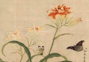 daylily butterfly Chinese painting mother longevity Tutuhaoyi
