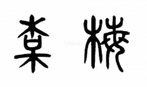 Chinese characters for Prunus